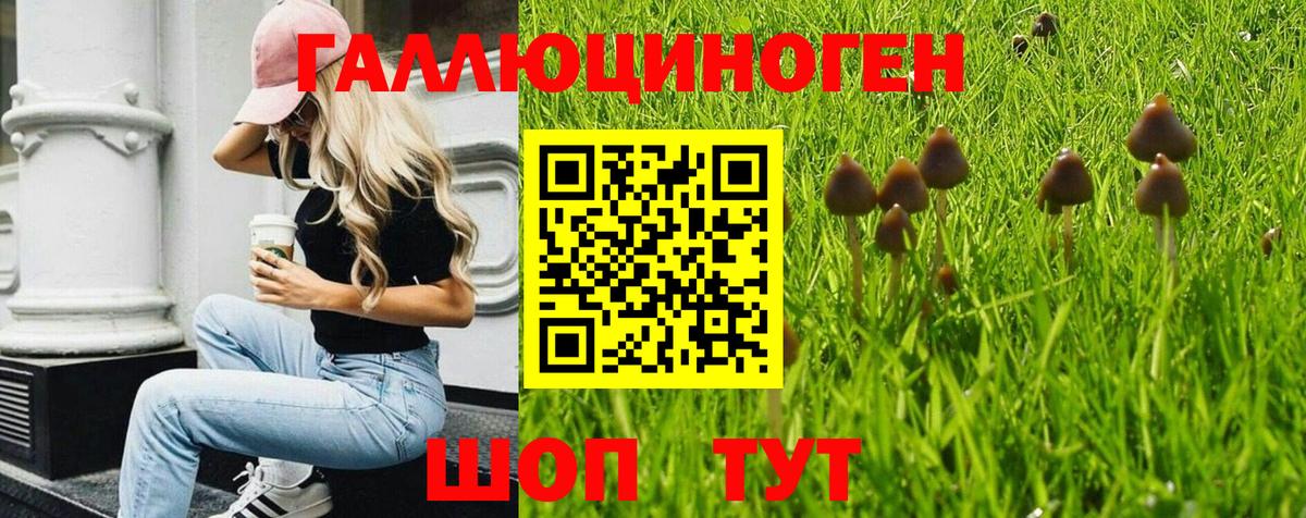 Галлюциногенные грибы Magic Shrooms  Галлюциногенные грибы ЛСД  Унеча  Вход с VPN 