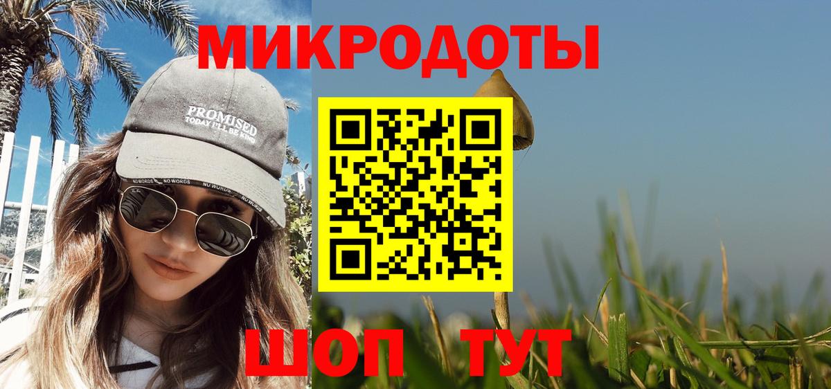 Псилоцибиновые грибы Cubensis Унеча